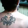 Steve Warrington-Woo - @userw8yf8gklvg - TikTok