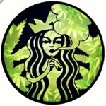 Steve Weed Wright - @stoned_in_steve - Instagram
