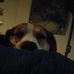 Steve Weidenbacher - Facebook