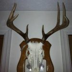 Steve Wellman - @sswellman07 - Instagram