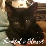 Steve Wentz - @steve.wentz.74 - Instagram