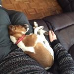 Steve Westcott - @stevewe88 - Instagram