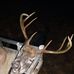 Steve Whitener - Facebook