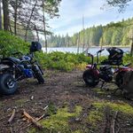 Steven Whitener - @minibikesteve85d - Instagram