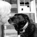 Stephen Whitley - Facebook