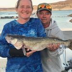 Steve Whitley - @stevenwhitley49 - Instagram