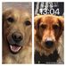 Steve Wiese - Facebook
