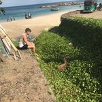 Steve Wil - @steve_wilhelm_ - Instagram