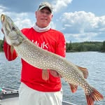 Steve Wilhelm - @swilhelm1206 - Instagram