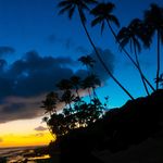 Steve Wilhelm - @wide.aperture.media - Instagram