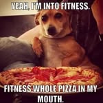 Steve Wilhelm - @l967camaroguy - Instagram