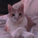 Steve - @steve_wilton62 - Instagram