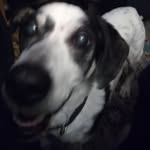 Steve Wilton - @stevie.wilton1 - Instagram