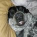 Steve Windle - Facebook