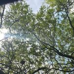 Steve windsor - @stevewindsor_ - Instagram