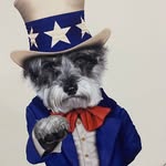 Steve Windsor - @stevenswindsor129 - Instagram