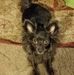 Steve Wiser - Facebook