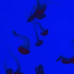 Steve Witmer - @ux.wit - Instagram