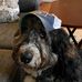 Steve Witte - Facebook