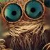 Steve Worth - Facebook