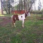 Steve Worthington - @worthington.steve - Instagram