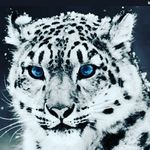 steve worthington - @stev__the__bomb - Instagram
