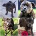 Steve Worthington - Facebook
