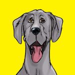 Steve Worthington - @storyboardsteve - Instagram