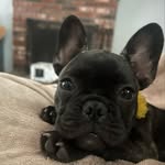 Steve Worthington - @worthy_ojs - Instagram