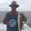 Steve Wulff - @nolawulff - TikTok