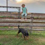 Steve Wurtz - @stevewurtz - Instagram