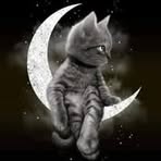 Steve Yen - Facebook