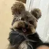 steve o yorke - @steve.o.yorke - TikTok