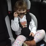 Steve Yorke - @yorke.steve - Instagram