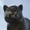 steveyorke74 - @steveyorke74 - TikTok