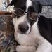 Steven Zalewski - Facebook