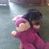 Steven L. Ables - @stevenl.ables - TikTok