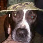 Steve Ackerson - @steveoackerson - Instagram