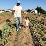 Steven Addison - @stevenaddison16 - Instagram