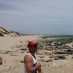 Steve Ahearn - @steve_ahearn - Instagram