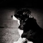 Steven Ahearn - @steven.ahearn.54 - Instagram