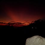 steven aldi - @stevenaldi19 - Instagram