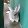 Steven Alejandro - @steven.alejandro_ - TikTok