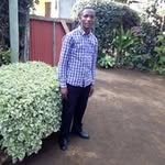 Steven Andrea - @stevenandrea9512 - Instagram