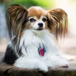 steven andrea - @stevenandrea389 - Instagram