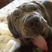Steve Angelos - Facebook