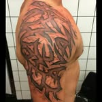 steve annis - @annissteve - Instagram