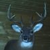 Steven Annis - Facebook