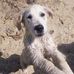 Stephen Ansell - Facebook