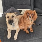 Steve Ansell - @milkosteve - Instagram